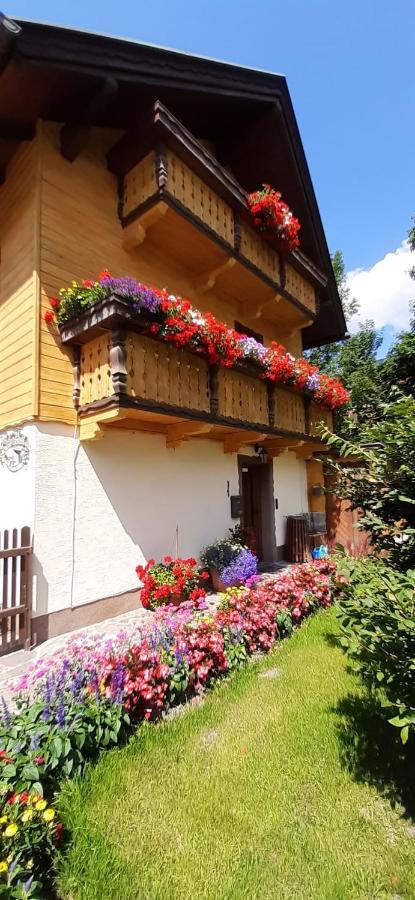 Schwalbennest *